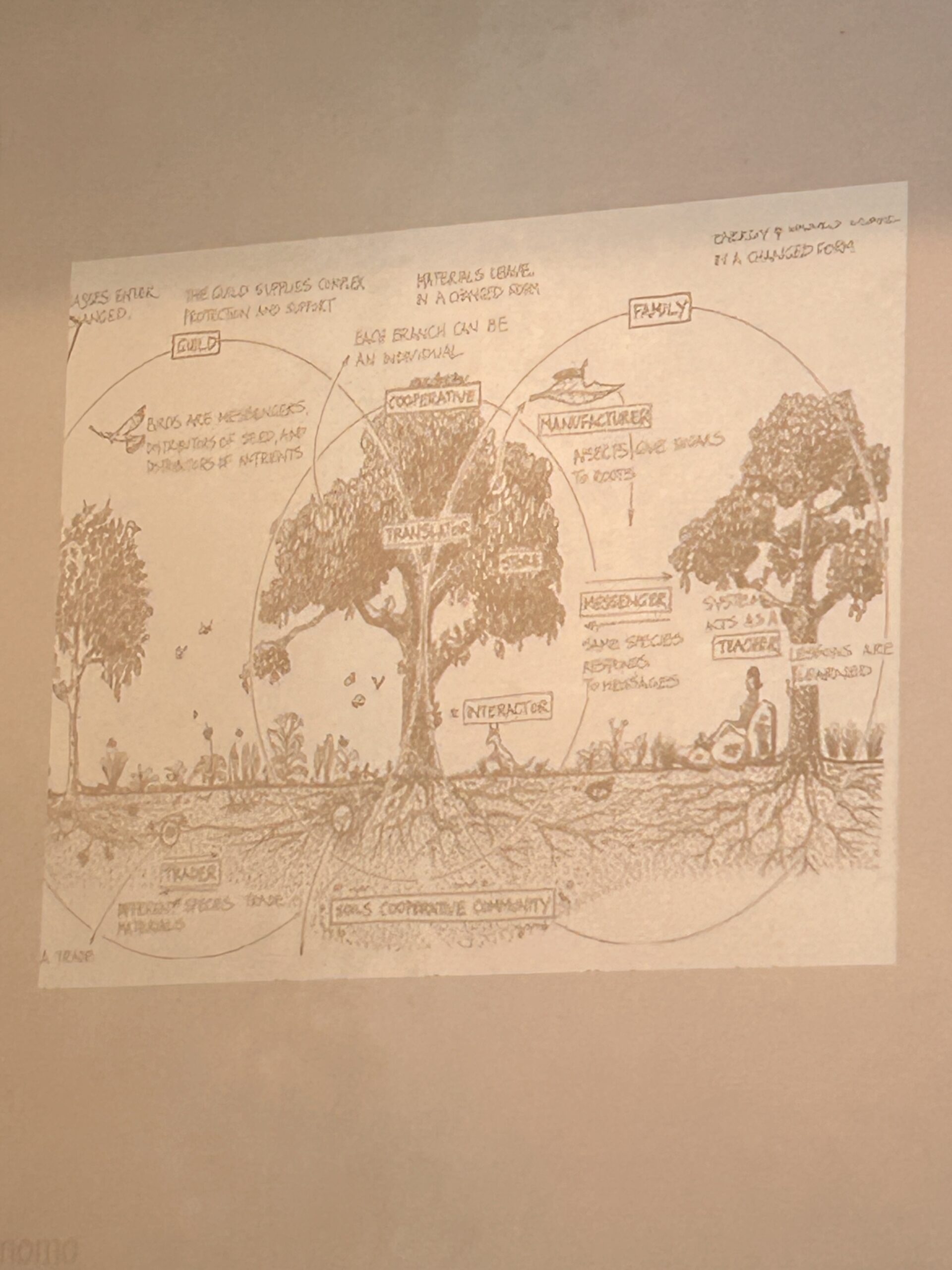 Las 7 capas del bosque comestible