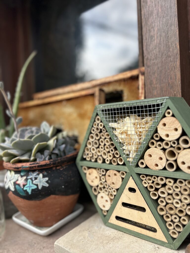 Parque Natural de Oyambre 2024