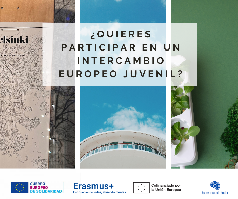 ¿Quieres tener una experiencia de voluntariado?