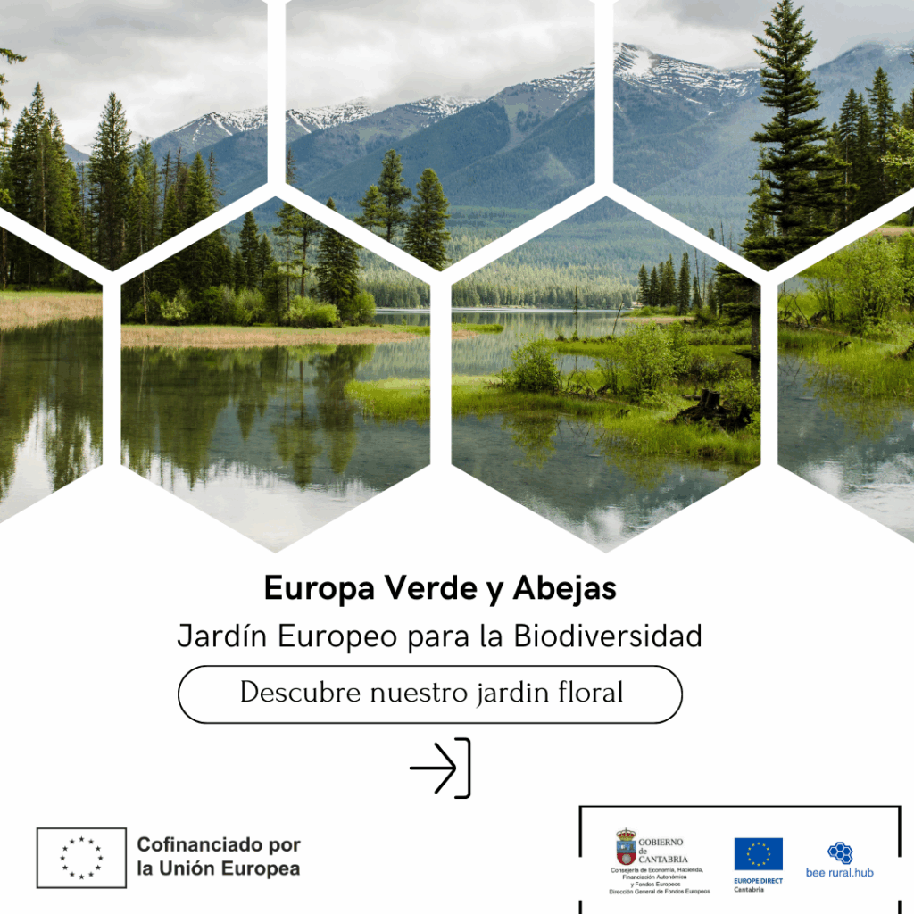 Proyecto Europa Verde y Abejas