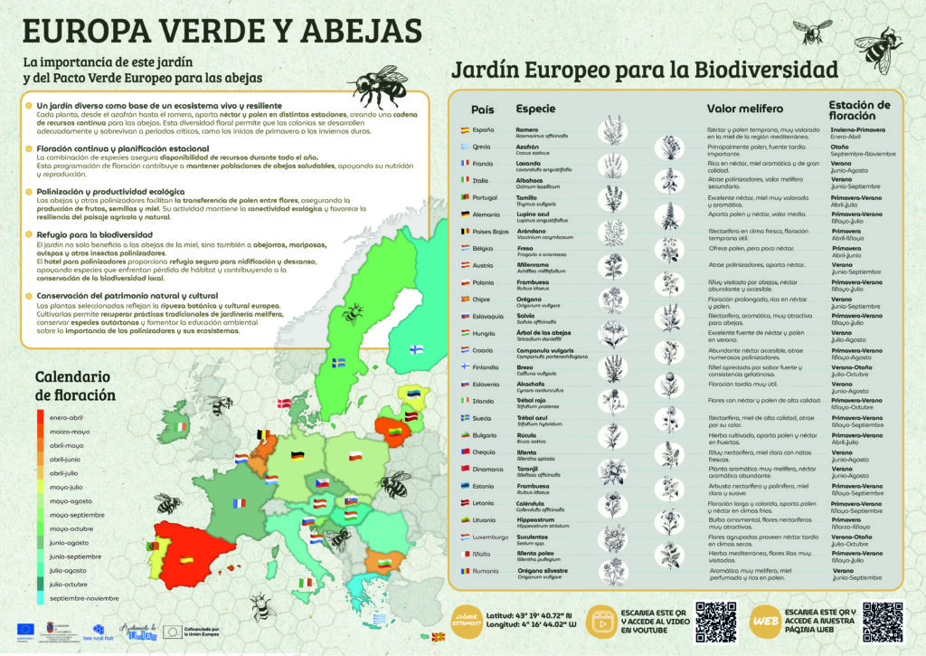 Cartel Europa Verde y Abejas