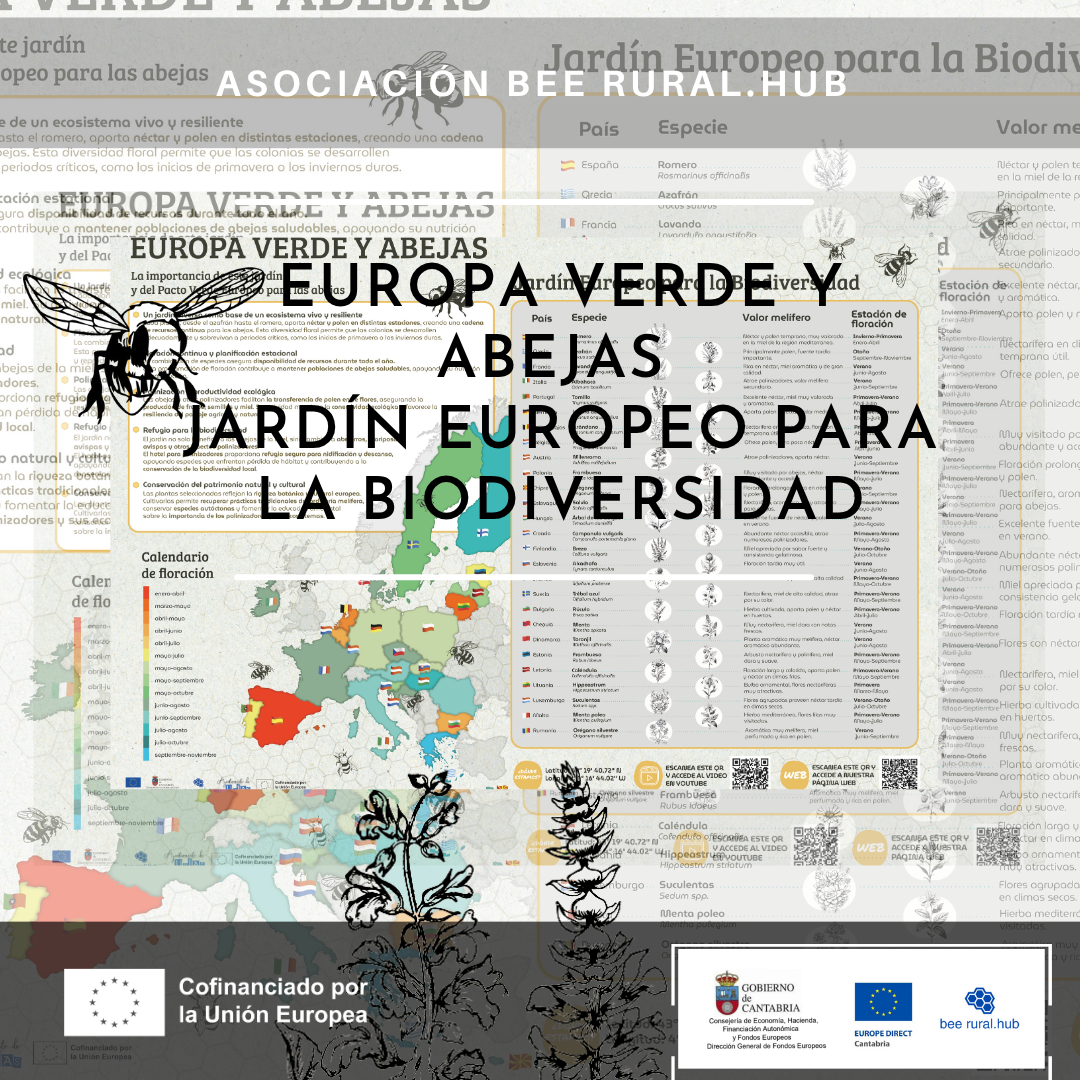 Proyecto noviembre 2025