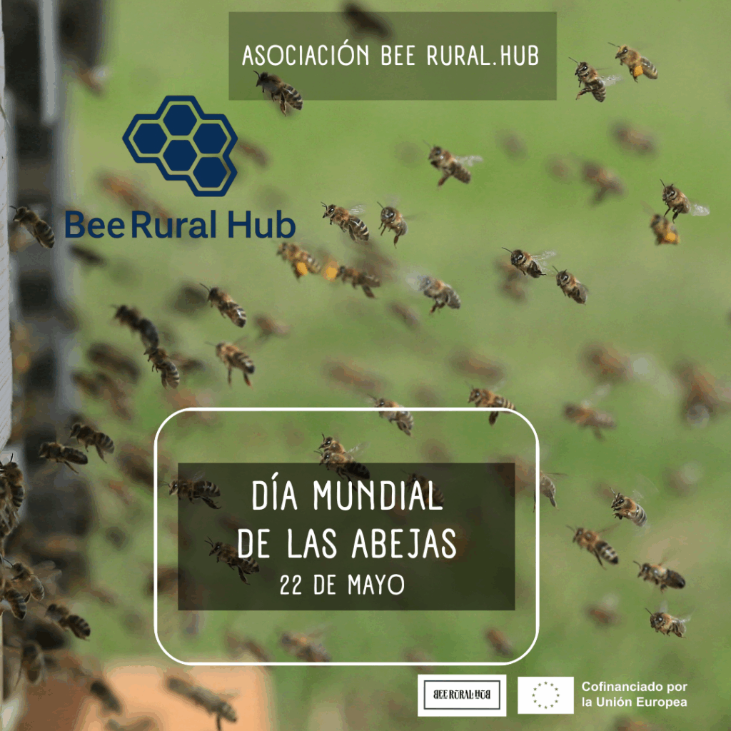 Jornadas comunitarias