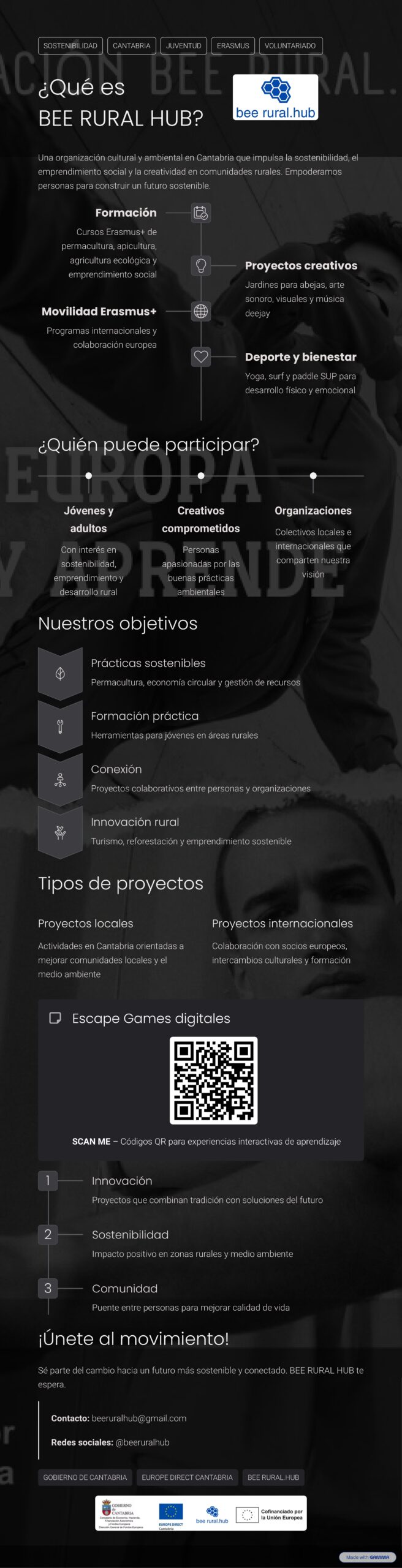 Infografía Bee Rural Hub