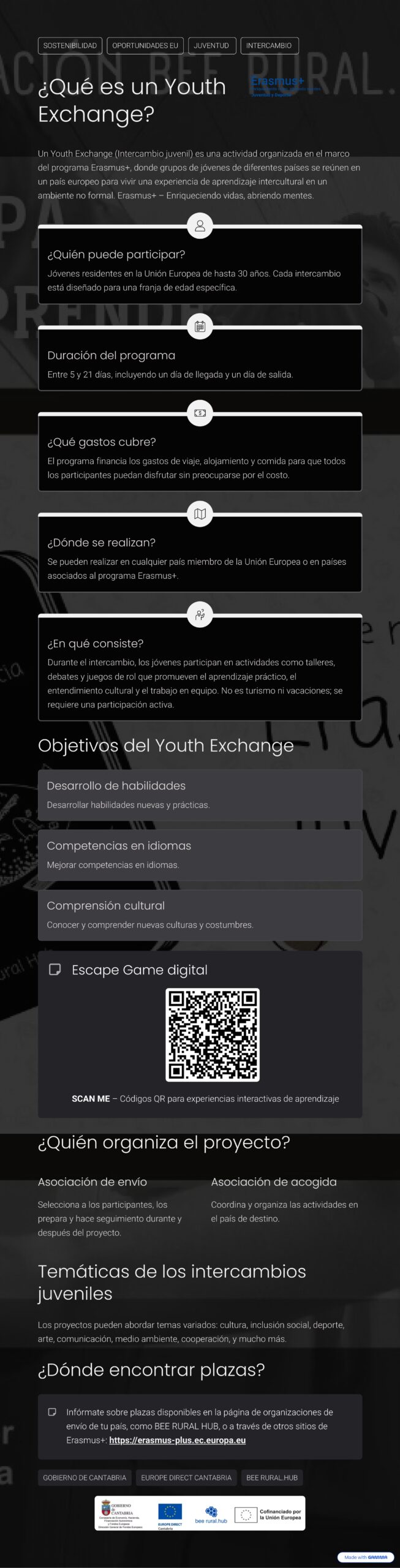 Infografía Erasmus