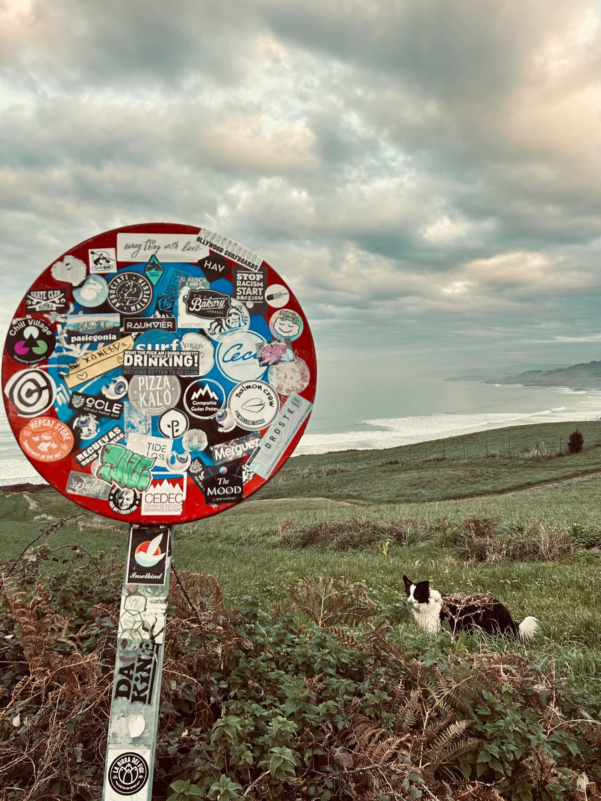 Cantabria 2026 — surf